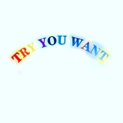 tryyouwant.com